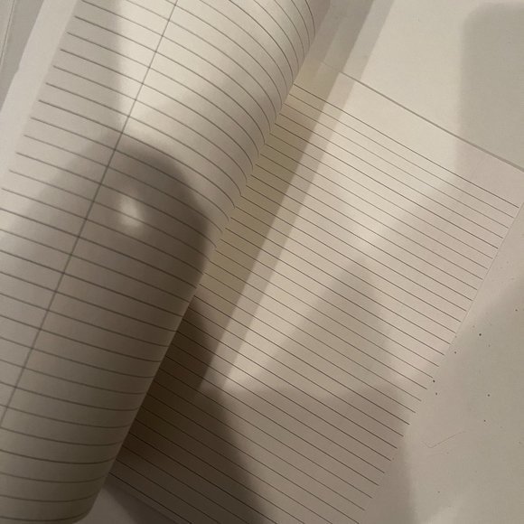 Lined Writing Journal - Working on My‎ Best Seller - Picture 5 of 8